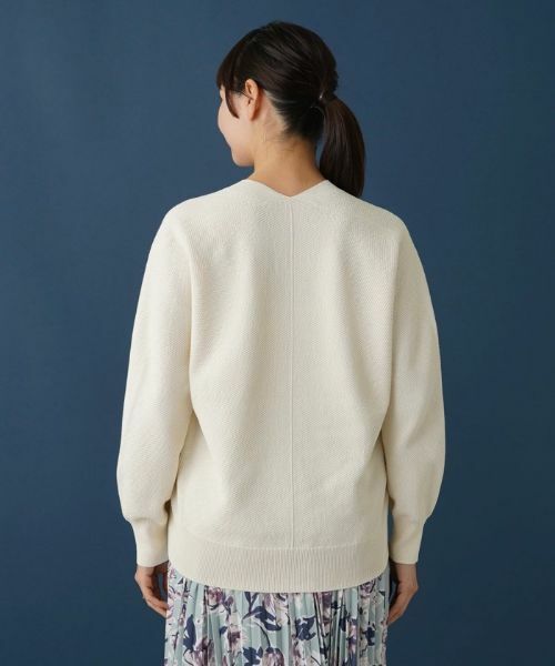 Leilian PLUS HOUSE / レリアンプラスハウス ニット・セーター | プルオーバーニット | 詳細6