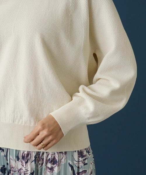 Leilian PLUS HOUSE / レリアンプラスハウス ニット・セーター | プルオーバーニット | 詳細9