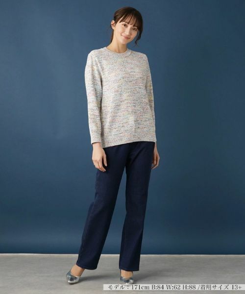 Leilian PLUS HOUSE / レリアンプラスハウス ニット・セーター | メランジニットプルオーバー | 詳細1