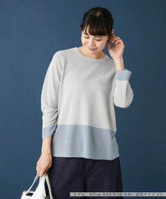 Leilian PLUS HOUSE / レリアンプラスハウス ニット・セーター | クルーネックインナー