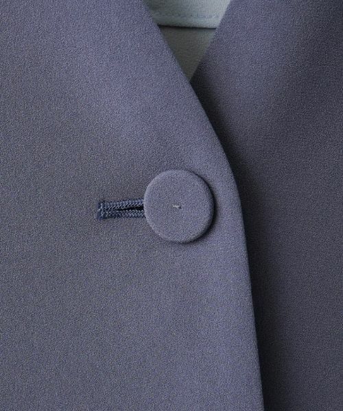 Leilian PLUS HOUSE / レリアンプラスハウス テーラードジャケット | ロングベスト | 詳細11