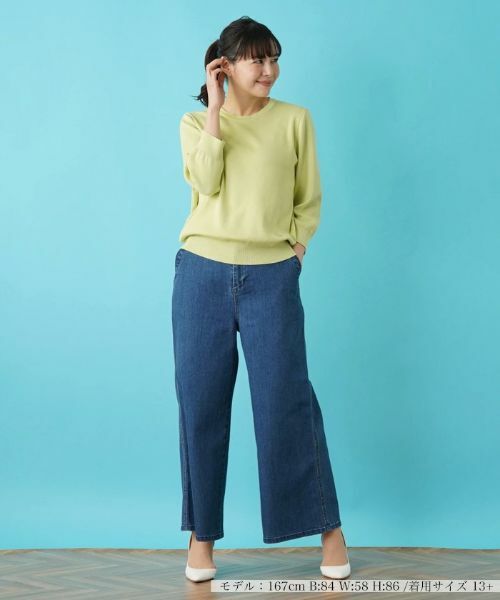 Leilian PLUS HOUSE / レリアンプラスハウス ニット・セーター | 七分袖ニットインナー | 詳細1