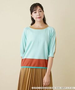 Leilian PLUS HOUSE / レリアンプラスハウス ニット・セーター | カラーブロッキングニットプルオーバー