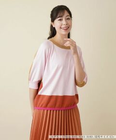 Leilian PLUS HOUSE / レリアンプラスハウス ニット・セーター | カラーブロッキングニットプルオーバー