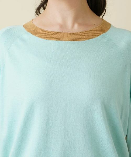 Leilian PLUS HOUSE / レリアンプラスハウス ニット・セーター | カラーブロッキングニットプルオーバー | 詳細11