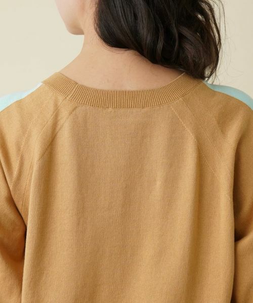 Leilian PLUS HOUSE / レリアンプラスハウス ニット・セーター | カラーブロッキングニットプルオーバー | 詳細12