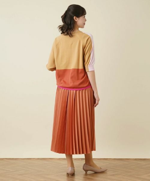 Leilian PLUS HOUSE / レリアンプラスハウス ニット・セーター | カラーブロッキングニットプルオーバー | 詳細3