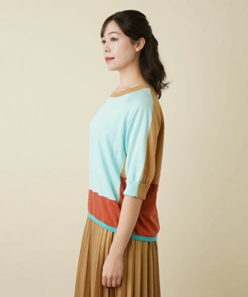 Leilian PLUS HOUSE / レリアンプラスハウス ニット・セーター | カラーブロッキングニットプルオーバー | 詳細9