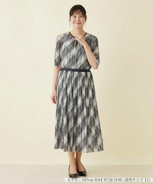 Leilian PLUS HOUSE / レリアンプラスハウス ロング・マキシ丈スカート | 洗えるモノトーンプリーツスカート【パワーネット】 | 詳細1