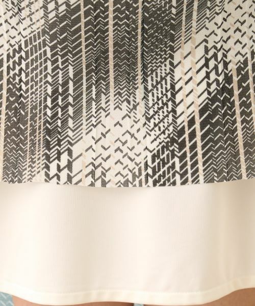 Leilian PLUS HOUSE / レリアンプラスハウス ロング・マキシ丈スカート | 洗えるモノトーンプリーツスカート【パワーネット】 | 詳細14