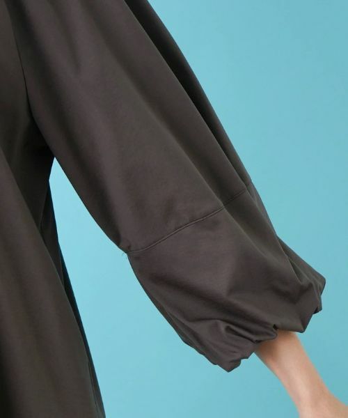 Leilian PLUS HOUSE / レリアンプラスハウス ドレス | フレアシルエットワンピース【プラス企画】 | 詳細16