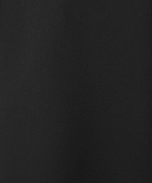 Leilian PLUS HOUSE / レリアンプラスハウス テーラードジャケット | ロングレングスジレ【BOURGE】 | 詳細14