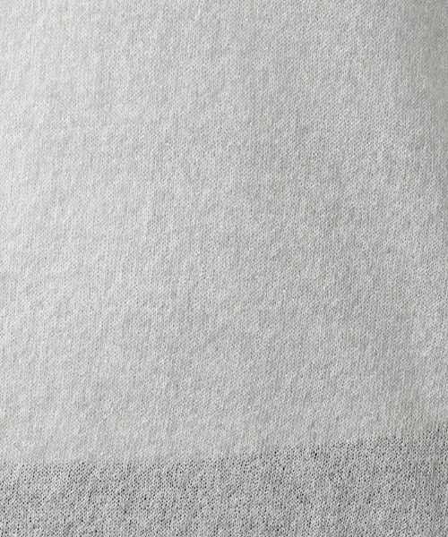 Leilian PLUS HOUSE / レリアンプラスハウス ニット・セーター | Vネックニット【KASH】 | 詳細13