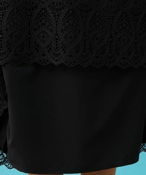 Leilian PLUS HOUSE / レリアンプラスハウス ミニ・ひざ丈スカート | レースミッドカーフ丈スカート【BOURGE】 | 詳細11