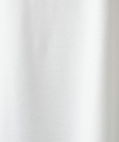 Leilian PLUS HOUSE / レリアンプラスハウス カットソー | 刺繍半袖プルオーバー | 詳細12