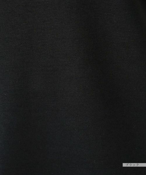 Leilian PLUS HOUSE / レリアンプラスハウス カットソー | 【店舗人気】ノースリーブカットソー | 詳細17