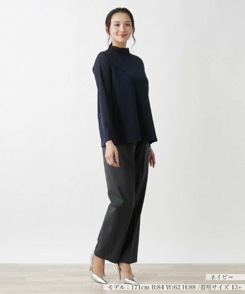 Leilian PLUS HOUSE / レリアンプラスハウス カットソー | シアーカットソー【プラス企画】 | 詳細1