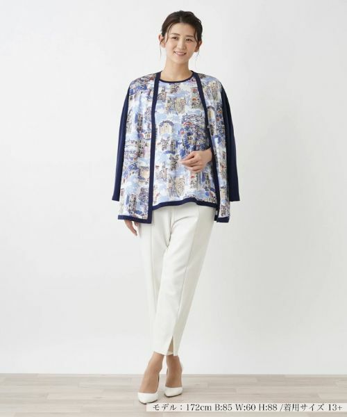 Leilian PLUS HOUSE / レリアンプラスハウス ニット・セーター | ニットプルオーバー【Leilian WHITE LABEL】 | 詳細1