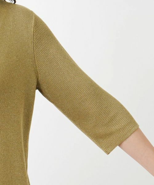 Leilian PLUS HOUSE / レリアンプラスハウス ニット・セーター | ハイネックプルオーバー | 詳細14