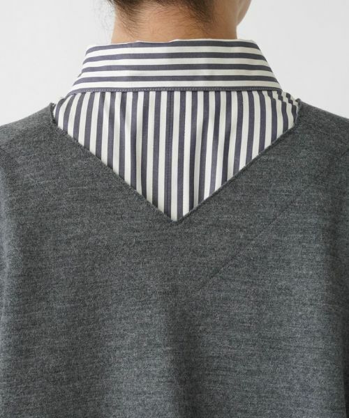 Leilian PLUS HOUSE / レリアンプラスハウス テーラードジャケット | プルオーバージレ | 詳細11