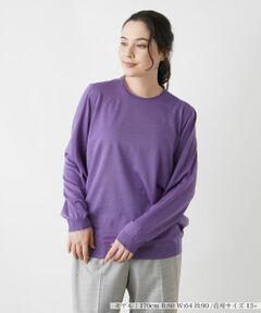 Leilian PLUS HOUSE / レリアンプラスハウス ニット・セーター | クルーネックニットプルオーバー