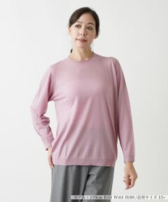 Leilian PLUS HOUSE / レリアンプラスハウス ニット・セーター | クルーネックニットプルオーバー