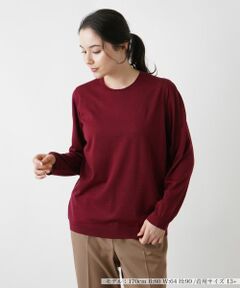 Leilian PLUS HOUSE / レリアンプラスハウス ニット・セーター | クルーネックニットプルオーバー