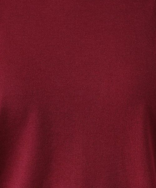 Leilian PLUS HOUSE / レリアンプラスハウス ニット・セーター | ハイネックニットプルオーバー | 詳細22