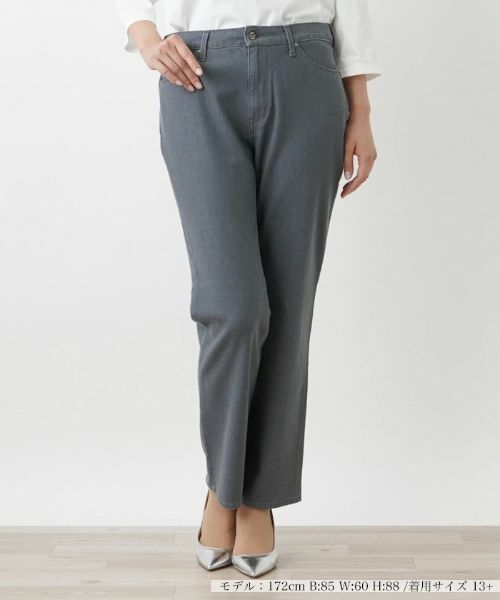 Leilian PLUS HOUSE / レリアンプラスハウス デニムパンツ | ストレートデニム【L JEANS】(グレー系)