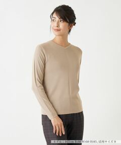 Leilian PLUS HOUSE / レリアンプラスハウス ニット・セーター | Vネックセーター