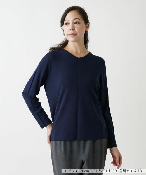 Leilian PLUS HOUSE/レリアンプラスハウス Vネックセーター ネイビー系 13+ Leilian PLUS HOUSE/レリアンプラスハウス Vネックセーター ネイビー系 13+