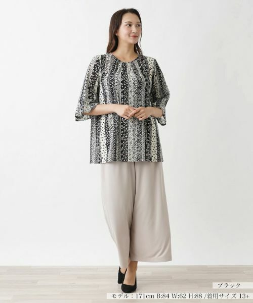 Leilian PLUS HOUSE / レリアンプラスハウス シャツ・ブラウス | ドット×ストライプブラウス【プラス企画】 | 詳細1