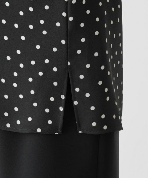 Leilian PLUS HOUSE / レリアンプラスハウス シャツ・ブラウス | 【店舗人気】ドット柄ブラウス【プラス企画】 | 詳細11