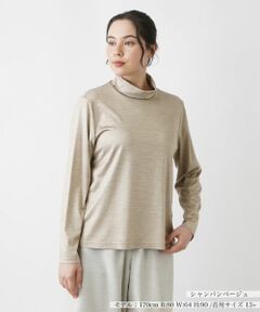 Leilian PLUS HOUSE / レリアンプラスハウス カットソー | 【店舗人気】ハイネックカットソー【シルク混】