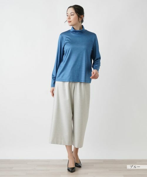 Leilian PLUS HOUSE / レリアンプラスハウス カットソー | 【店舗人気】ハイネックカットソー【シルク混】 | 詳細25