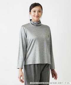 Leilian PLUS HOUSE / レリアンプラスハウス カットソー | 【店舗人気】タートルネックカットソー【シルク混】