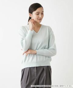 Leilian PLUS HOUSE / レリアンプラスハウス ニット・セーター | ハイゲージ長袖ニットプルオーバー【BOURGE】