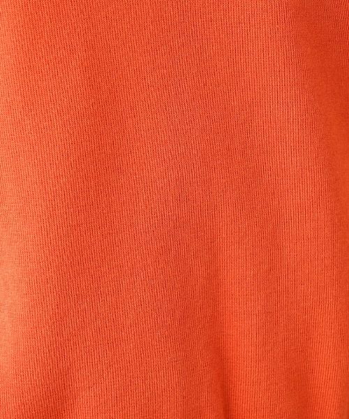 Leilian PLUS HOUSE / レリアンプラスハウス ニット・セーター | ノースリーブニット【BOURGE】 | 詳細17