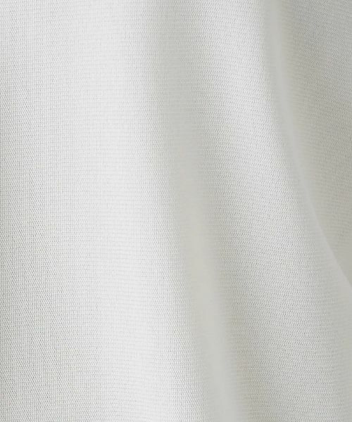 Leilian PLUS HOUSE / レリアンプラスハウス シャツ・ブラウス | 襟付きブラウス【Leilian WHITE LABEL】【BOURGE】 | 詳細16