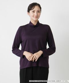 Leilian PLUS HOUSE / レリアンプラスハウス カットソー | ナローボーダーハイネックカットソー