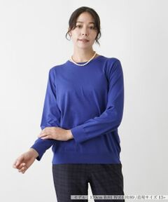 Leilian PLUS HOUSE / レリアンプラスハウス ニット・セーター | クルーネックプルオーバー