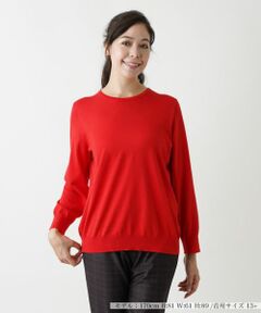 Leilian PLUS HOUSE / レリアンプラスハウス ニット・セーター | クルーネックプルオーバー
