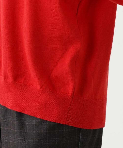 Leilian PLUS HOUSE / レリアンプラスハウス ニット・セーター | クルーネックプルオーバー | 詳細16