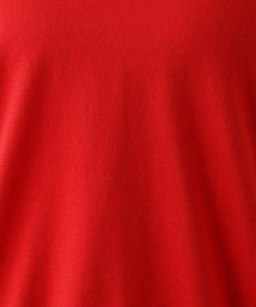 Leilian PLUS HOUSE / レリアンプラスハウス ニット・セーター | クルーネックプルオーバー | 詳細17