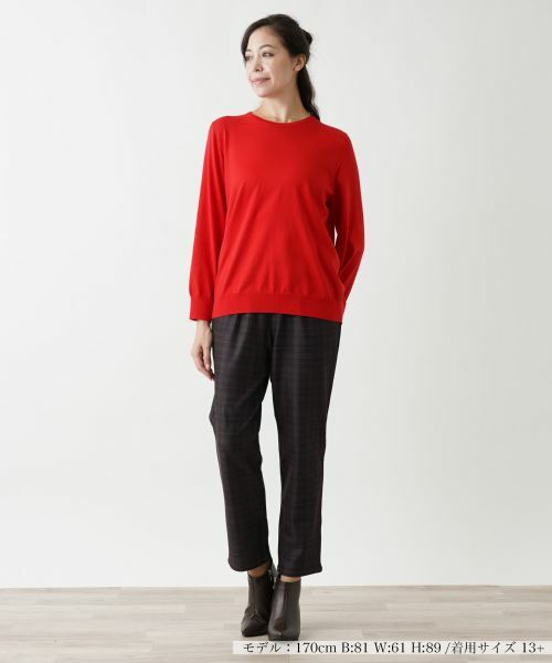 Leilian PLUS HOUSE / レリアンプラスハウス ニット・セーター | クルーネックプルオーバー | 詳細7