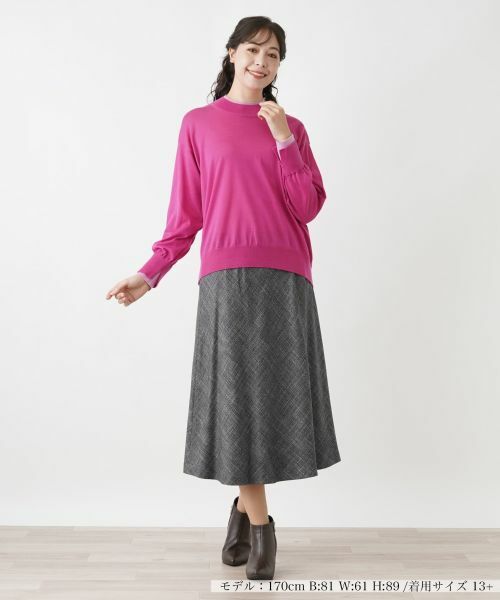 Leilian PLUS HOUSE / レリアンプラスハウス ニット・セーター | ハイゲージニット | 詳細10