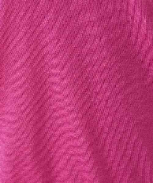 Leilian PLUS HOUSE / レリアンプラスハウス ニット・セーター | ハイゲージニット | 詳細21