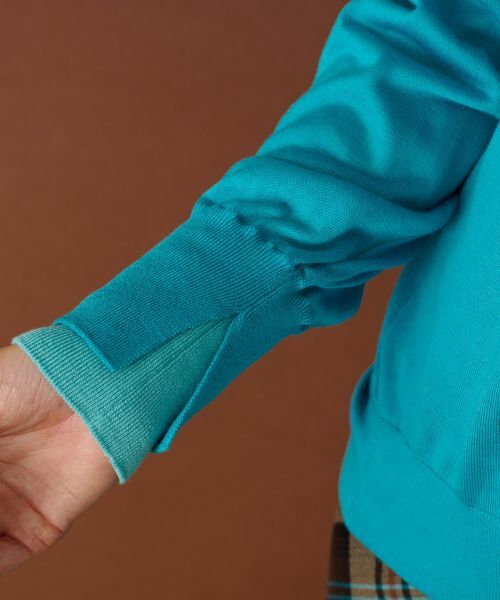 Leilian PLUS HOUSE / レリアンプラスハウス ニット・セーター | ハイゲージニット | 詳細9