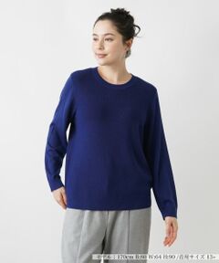 Leilian PLUS HOUSE / レリアンプラスハウス ニット・セーター | セーター