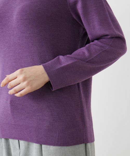 Leilian PLUS HOUSE / レリアンプラスハウス ニット・セーター | セーター | 詳細12